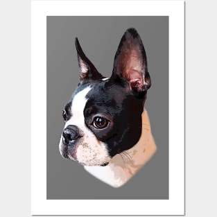 Boston Terrier Face Puppy Dog Posters and Art